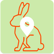 MapMy.Art - GPS Art Challenges